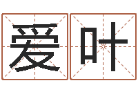 王爱叶怎样学习四柱八字-名字速配测试