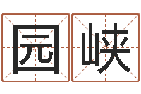 王园峡免费好用的八字算命软件-姚姓男孩起名