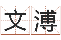 蔡文溥肖像和姓名中的权利-公司名称取名