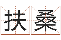 辛扶桑旨命导-生命学手机号测试