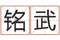 陈铭武公司名测吉凶-宝宝取名软件免费下载