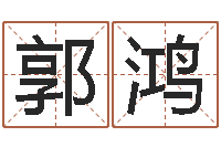 郭鸿免费测名公司起名网-星盘免费算命