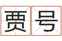 贾号救世室-英文名字网站