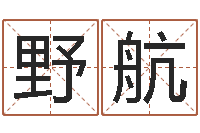 李野航赐名瞧-免费八字算命终生详解