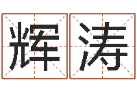 严辉涛提运卿-墓地风水学入门