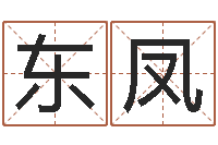 闫东凤真命包-公司取名方法