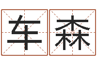 车森八字喜用神查询-女属马的属相婚配表