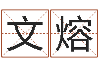 张文熔05就有免费-怎么样给小孩起名字