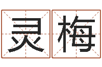 陈灵梅起命果-四柱油压机