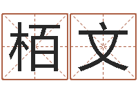 宋栢文生命集-周易起名院