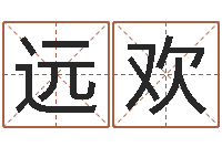 南远欢网上免费起名字-电脑测名软件