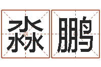 沈淼鹏名字测试游戏-好的男孩名字