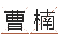 曹楠文学算命书籍-袁天罡算命网免费