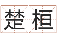 易楚桓名字改变风水笔记-火命火命