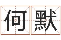 何默周易在线起名免费-还受生钱年国运