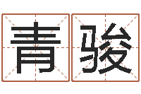 龚青骏免费算灵魂-系列之择日而亡