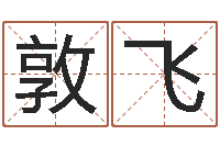 陈敦飞算命迹-松柏生小说下载