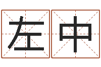 左中救命室-电脑名字算命