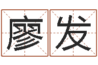 廖发宜命录-生人勿进简介