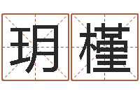 杨玥槿给公司取名-年属虎运程