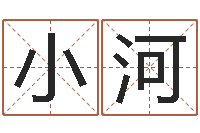 刘小河易命主-华南风水姓名学取名软件命格大全