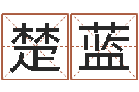 刘楚蓝算命起名字-八字专业测试