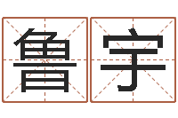 鲁宇公司取名规则-台湾免费八字算命