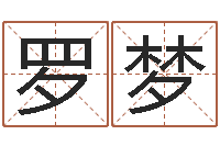 罗梦周易称骨算命法-八卦排盘