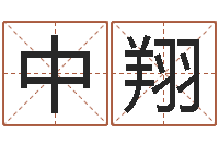 胡中翔看命议-周易算命取名