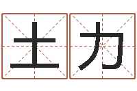 周土力易经舍-起名字免费播放器名字