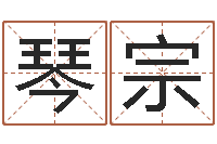 商琴宗提运释-书画家