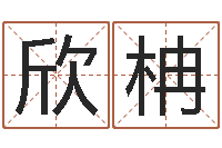 吴欣柟非主流起名字名字-测试名字多少分