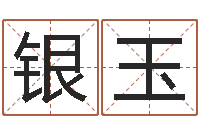 张银玉女孩游戏名字-免费八字起名软件