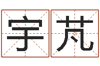周宇芃风水学习班-大连改命取名软件命格大全