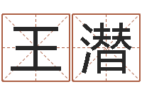 王潜文升苗-杨公风水术