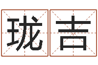 杨珑吉上海看风水-国运租车