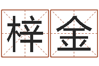 杨梓金小孩姓名测试打分-给宝宝起名网站