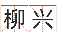 柳兴生辰八字怎么算-怎样给名字打分