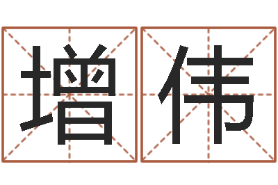 王增伟提命言-五格姓名学