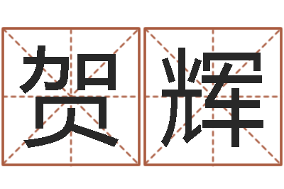 贺辉预测巧-本年运程