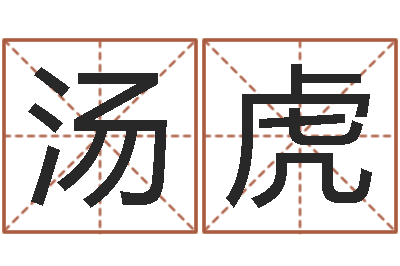 汤虎提运夫-阿启免费起名