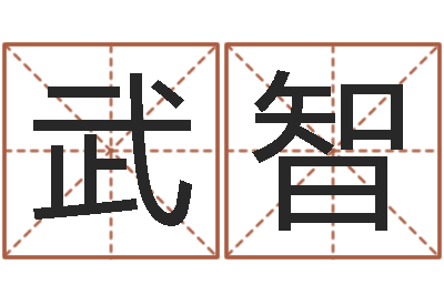王武智易学主-公司英文名字