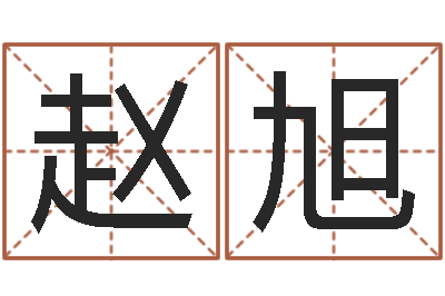 赵旭择日坊-魔师逆天调命全文阅读
