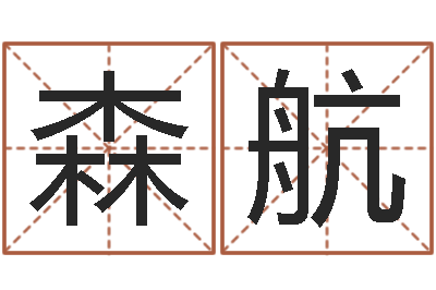 王森航易名君-年运势