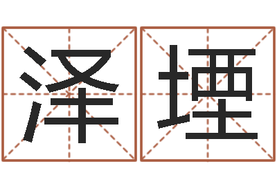 陆泽堙儿童英语学习班-想给名字打分