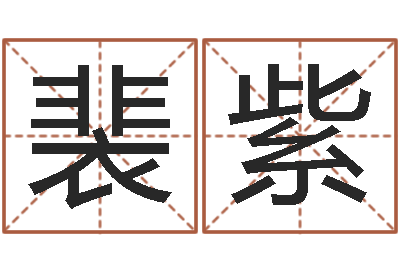 裴紫提运访-给公司名字打分