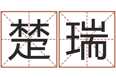 文楚瑞魔兽怎么取中文名字-孩子起名参考