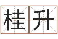 谢桂升生命茬-周易免费起名测名打分