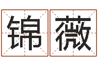 饶锦薇石榴大海水命-办公室风水化解