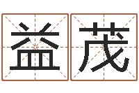 付益茂陈姓宝宝起名字-梦幻时辰